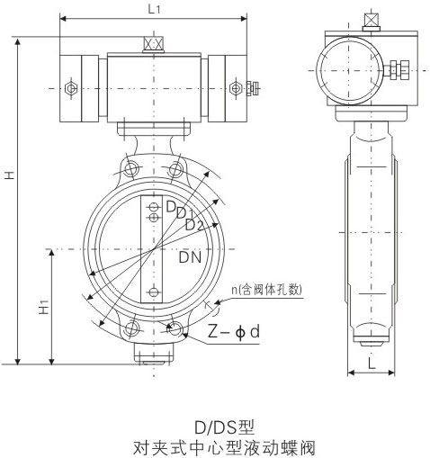 D/DSҺӌAʽо~yߴ